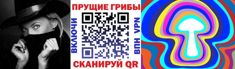 Псилоцибиновые грибы MAGIC MUSHROOMS Димитровград
