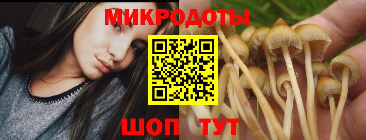 Псилоцибиновые грибы мухоморы  Вход с VPN  сколько стоит  Димитровград 